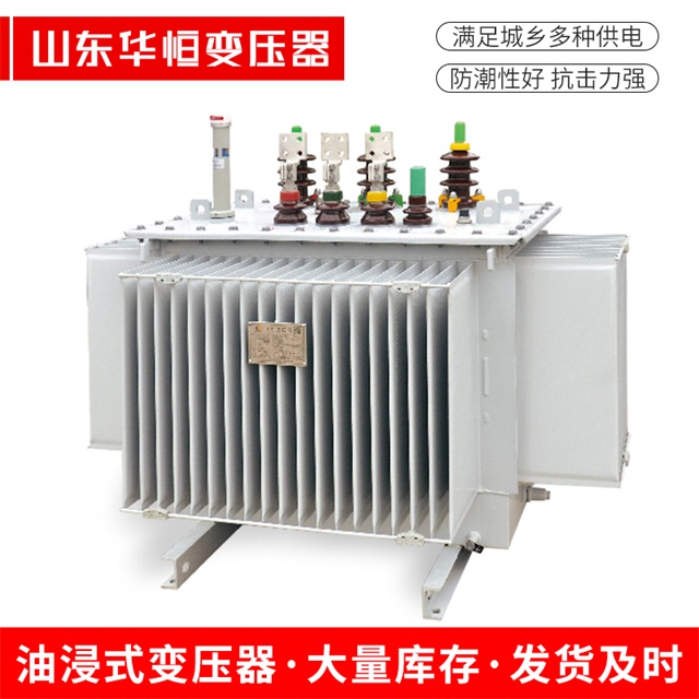 S13-10000/35莱州莱州莱州电力变压器